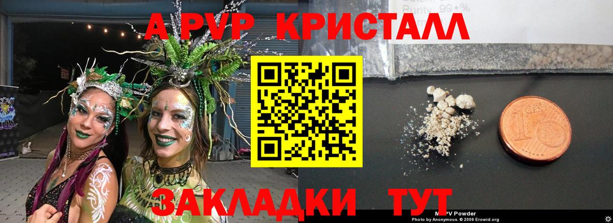 Alfa_PVP СК Вологда