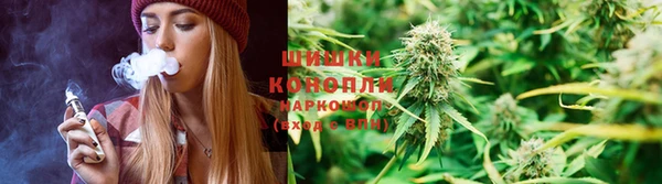 не бодяженный Алзамай
