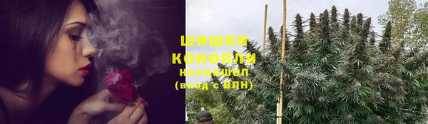 ПСИЛОЦИБИНОВЫЕ ГРИБЫ Абдулино