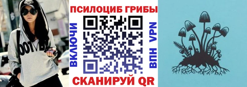 Псилоцибиновые грибы Psilocybine cubensis сколько стоит Вологда