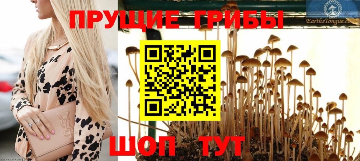 Вологда  Галлюциногенные грибы Magic Shrooms  Вход с VPN 