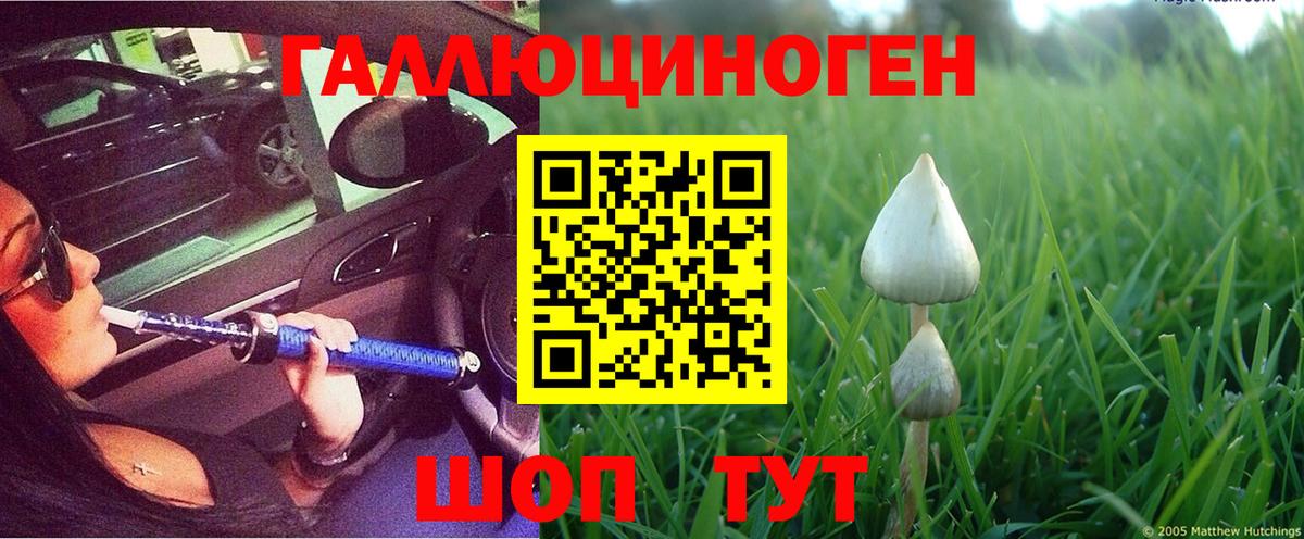 Псилоцибиновые грибы мухоморы Вологда