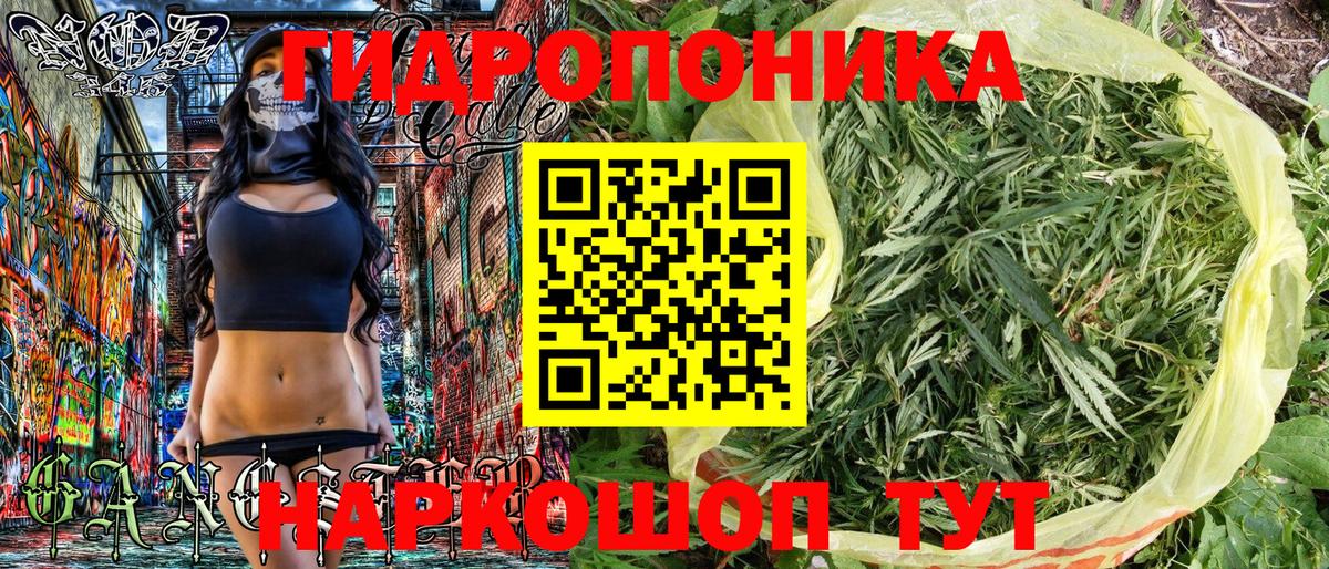 Каннабис Amnesia Вологда